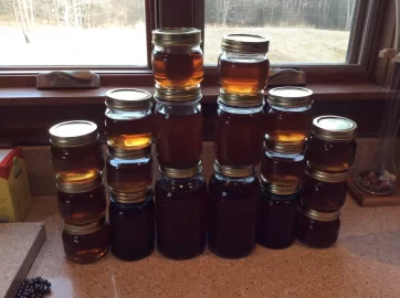 [Hearth.com] Anyone Here Make Syrup???