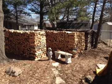 [Hearth.com] Split and stacked with the help of my Buddy today.