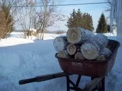 [Hearth.com] Kentucky firewood