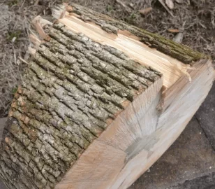 [Hearth.com] Ash or Norway Maple? Wood ID