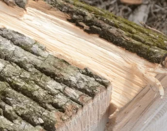 [Hearth.com] Ash or Norway Maple? Wood ID