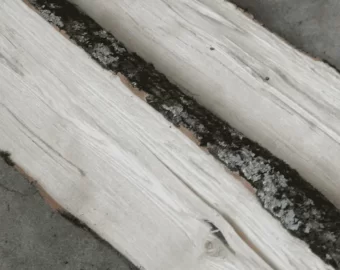 [Hearth.com] Ash or Norway Maple? Wood ID