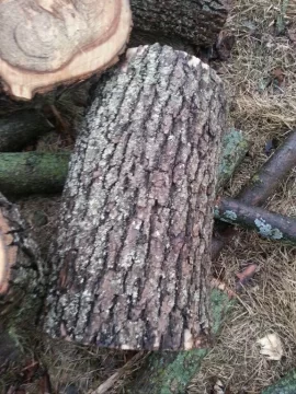 [Hearth.com] Ash or Norway Maple? Wood ID