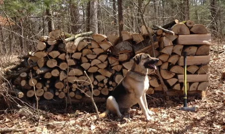 [Hearth.com] Fresh cut red oak for '16/'17....