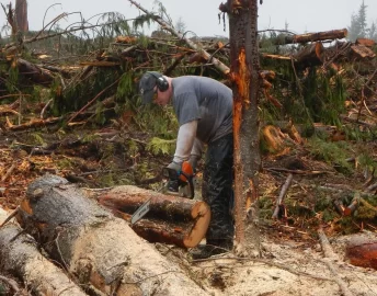 [Hearth.com] firewood is a family afair