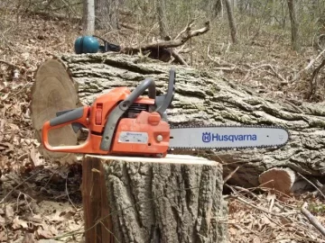 [Hearth.com] Locust and oak cutting