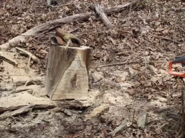 [Hearth.com] Locust and oak cutting