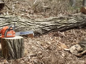 [Hearth.com] Locust and oak cutting