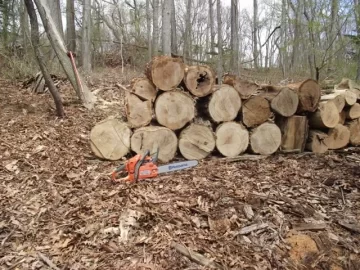 [Hearth.com] Locust and oak cutting