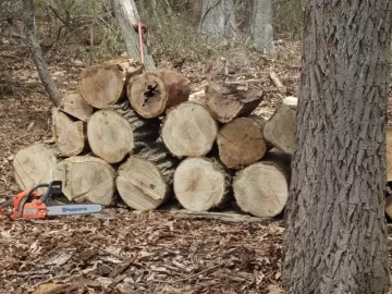 [Hearth.com] Locust and oak cutting