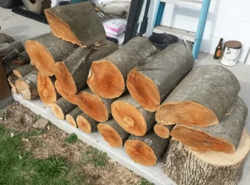 [Hearth.com] Brought home a load Black Birch