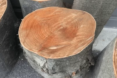 [Hearth.com] Brought home a load Black Birch