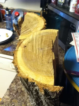 [Hearth.com] Wood ID: Guy said it was elm... but what kind?