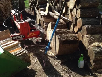 [Hearth.com] Is there any practical way of processing an Oak tree this dang huge?