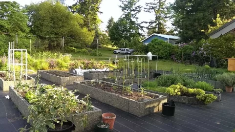 [Hearth.com] Garden reports where you at and whats next?