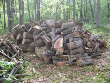 [Hearth.com] Black Locust haul