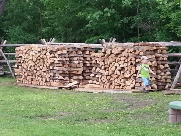 [Hearth.com] Load of logs on the way.