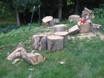 [Hearth.com] Cut previously topped hickory