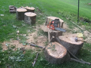 [Hearth.com] Cut previously topped hickory