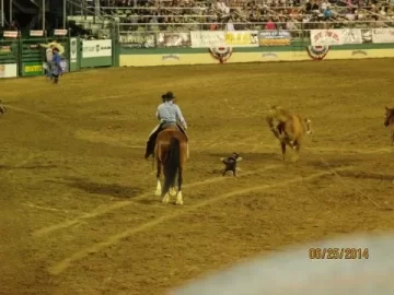 [Hearth.com] Been to a Rodeo lately?