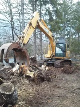 [Hearth.com] Clearing Land