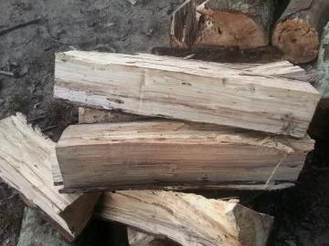 [Hearth.com] Got a line on a 100 year old dead Maple