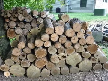 [Hearth.com] Neighbor is splitting Oak NOW to use this Winter!