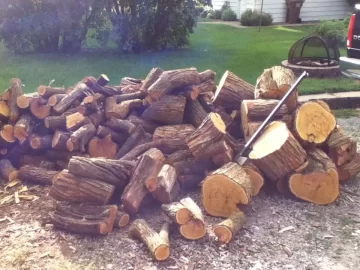 [Hearth.com] Scored on a ton of free hedge!!