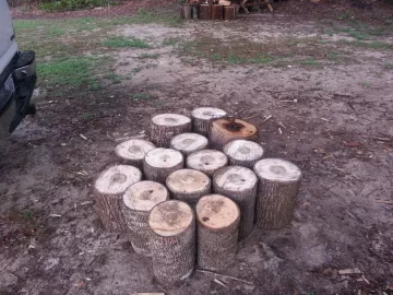 [Hearth.com] finished off my poplar tree