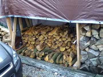 [Hearth.com] Scored on a ton of free hedge!!