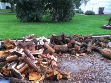 [Hearth.com] Scored on a ton of free hedge!!