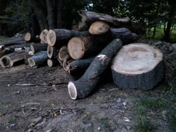 [Hearth.com] 44 Inch Red Oak Rounds