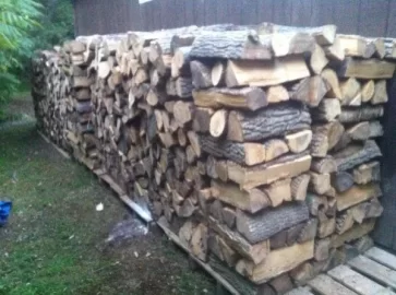 [Hearth.com] Stacked the rest of the ash, and hauled a bunch of black locust.