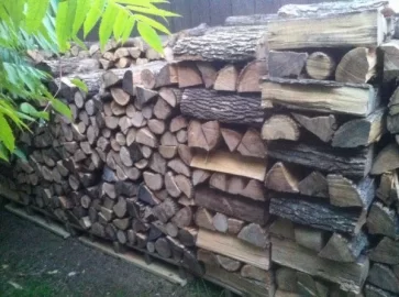 [Hearth.com] Stacked the rest of the ash, and hauled a bunch of black locust.