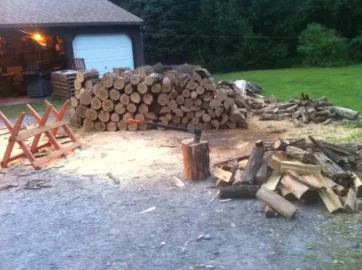 [Hearth.com] Stacked the rest of the ash, and hauled a bunch of black locust.