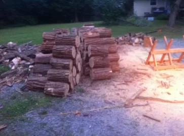 [Hearth.com] Stacked the rest of the ash, and hauled a bunch of black locust.