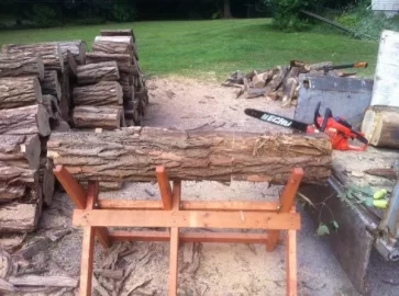 [Hearth.com] Stacked the rest of the ash, and hauled a bunch of black locust.