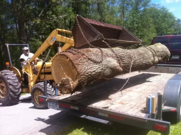 [Hearth.com] Stacked the rest of the ash, and hauled a bunch of black locust.