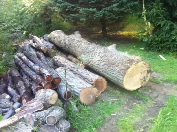 [Hearth.com] Stacked the rest of the ash, and hauled a bunch of black locust.