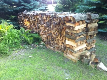 [Hearth.com] Stacked the rest of the ash, and hauled a bunch of black locust.