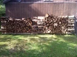 [Hearth.com] Stacked the rest of the ash, and hauled a bunch of black locust.