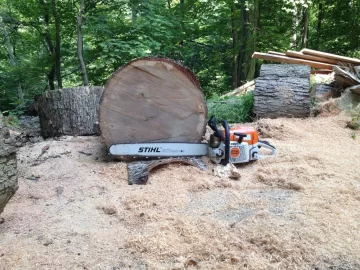 [Hearth.com] Best chainsaw for 10 cord, $1000 budget. 25" diameter hard wood