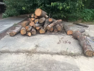 [Hearth.com] How much wood is in this pile..?