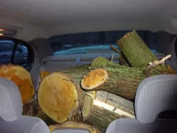 [Hearth.com] Small White Oak Score