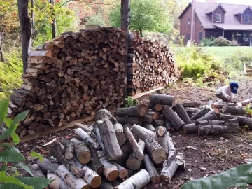 [Hearth.com] Drying/firewood processing