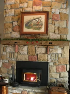 [Hearth.com] Any pictures of a Buck Stove insert model 81 or 85