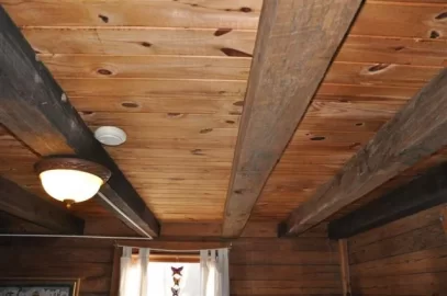 [Hearth.com] interior sound insulation - log cabin