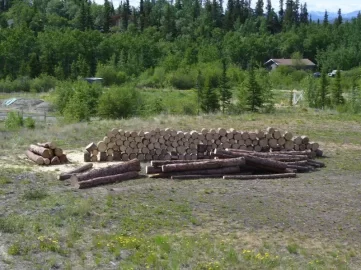 [Hearth.com] Pine Bark Beetle (and other wood destructive pests)