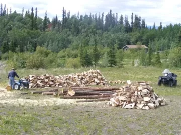 [Hearth.com] Pine Bark Beetle (and other wood destructive pests)