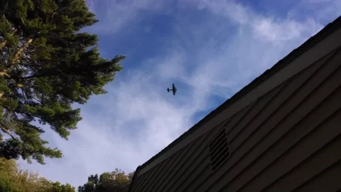 [Hearth.com] B-17 from roof